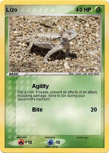 Pokemon Lizo