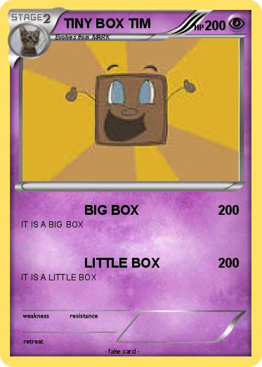 Pokemon TINY BOX TIM