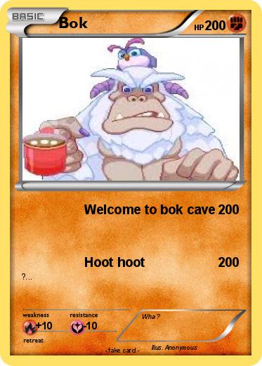 Pokemon Bok