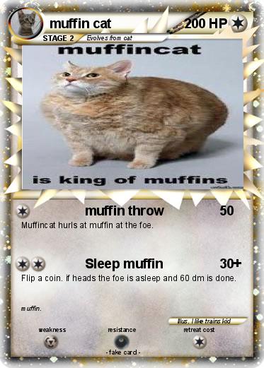 Pokemon muffin cat