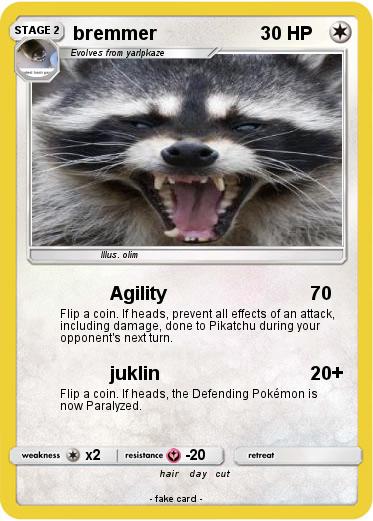 Pokemon bremmer