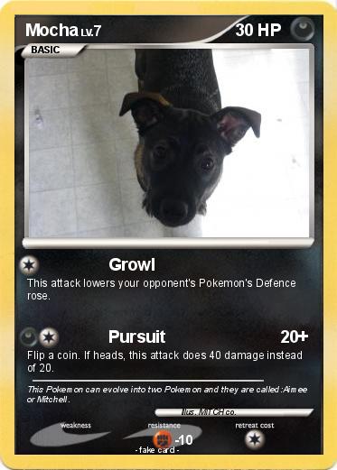 Pokemon Mocha