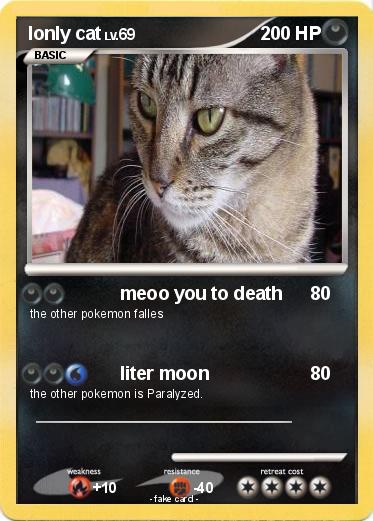 Pokemon lonly cat