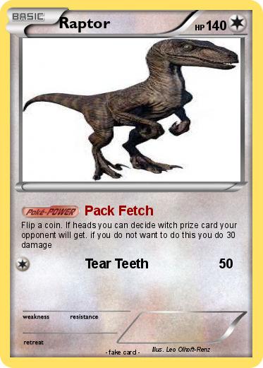 Pokemon Raptor