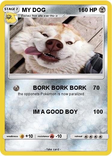 Pokemon MY DOG