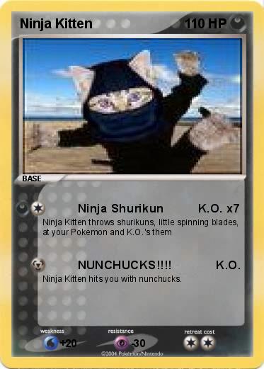 Pokemon Ninja Kitten 