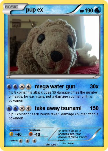 Pokemon pup ex