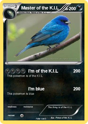 Pokemon Master of the K.I.L