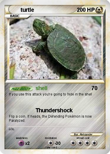 Pokemon turtle
