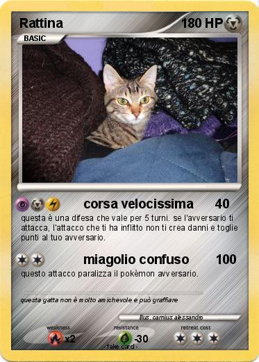 Pokemon Rattina