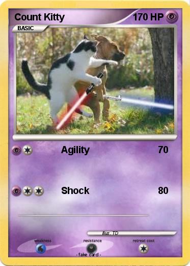 Pokemon Count Kitty