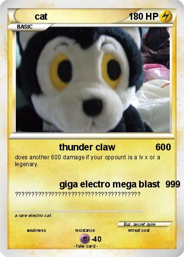 Pokemon cat