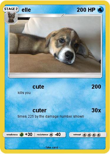 Pokemon elle