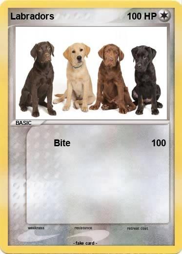 Pokemon Labradors