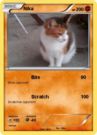 Pokemon Nika