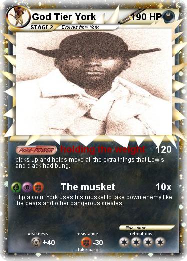 Pokemon God Tier York