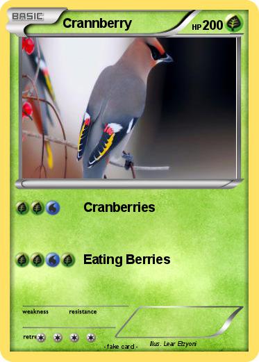Pokemon Crannberry