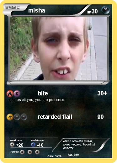 Pokemon misha