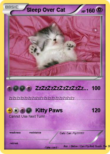 Pokemon Sleep Over Cat