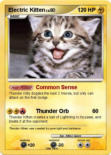 Pokemon Electric Kitten