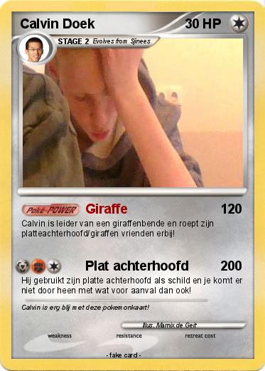 Pokemon Calvin Doek