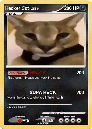 Pokemon Hecker Cat