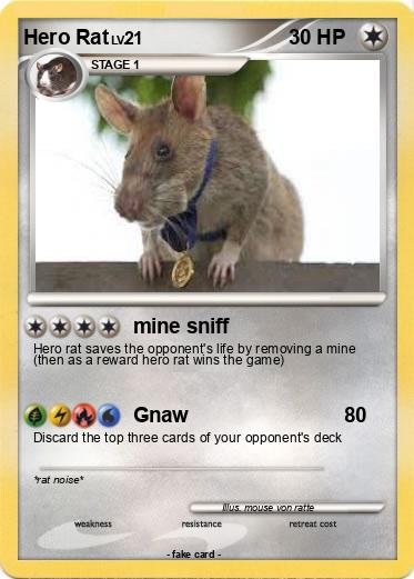 Pokemon Hero Rat