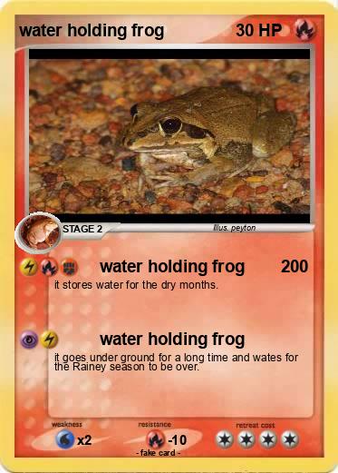 Pokemon water holding frog