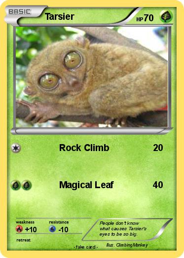 Pokemon Tarsier