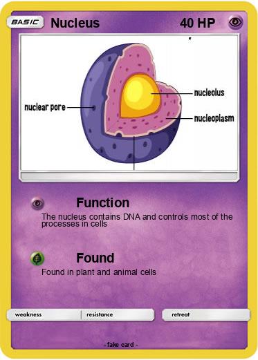 Pokemon Nucleus