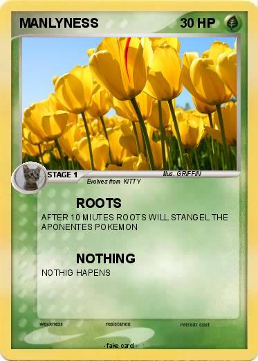 Pokemon MANLYNESS