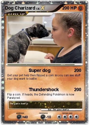 Pokemon Dog Charizard