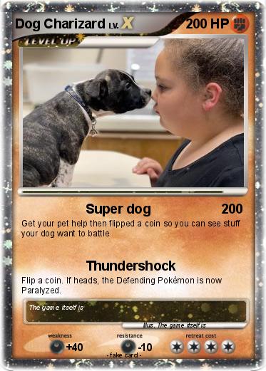 Pokemon Dog Charizard