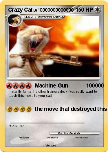 Pokemon Crazy Cat