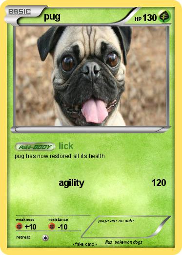 Pokemon pug