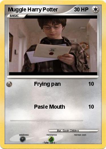 Pokemon Muggle Harry Potter