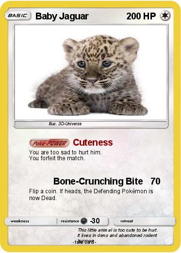Pokemon Baby Jaguar