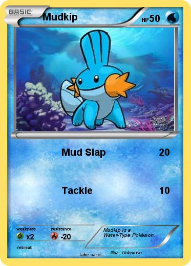 Pokemon Mudkip