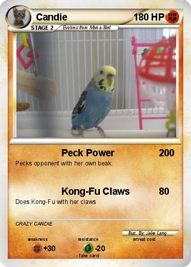 Pokemon Candie