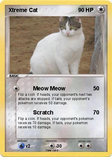 Pokemon Xtreme Cat