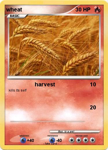 Pokemon wheat