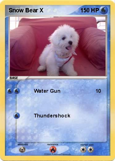 Pokemon Snow Bear X