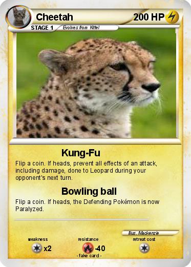 Pokemon Cheetah
