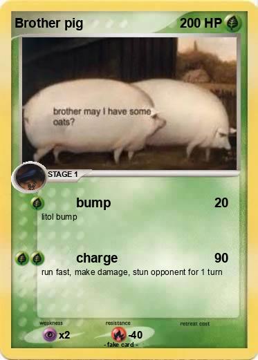 Pokemon Brother pig