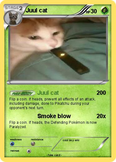 Pokemon Juul cat