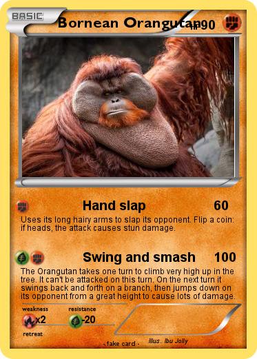 Pokemon Bornean Orangutan