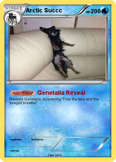 Pokemon Arctic Succc