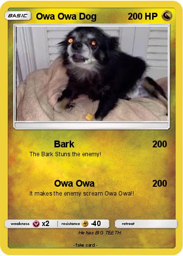 Pokemon Owa Owa Dog