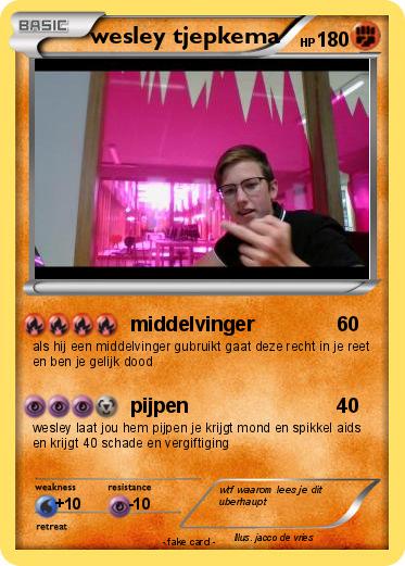 Pokemon wesley tjepkema