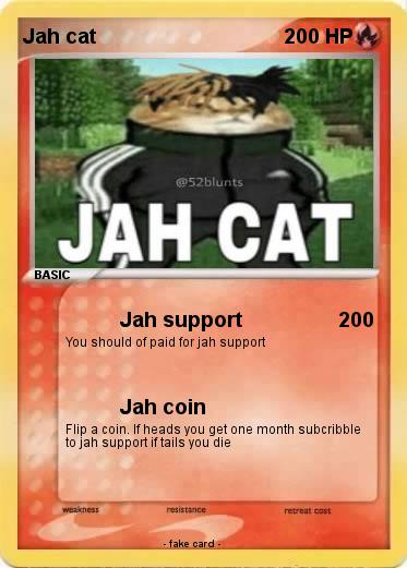 Pokemon Jah cat